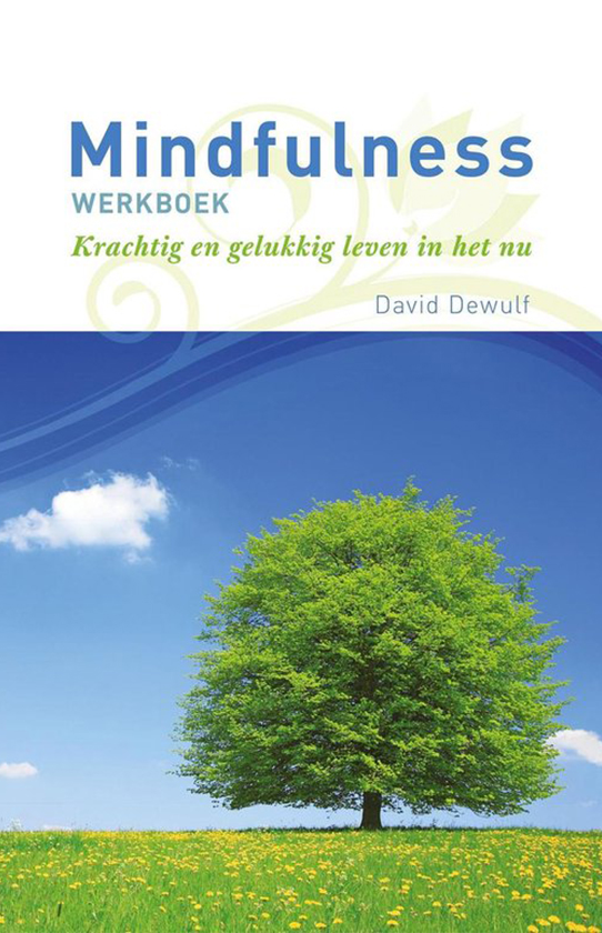 Mindfulness werkboek cover